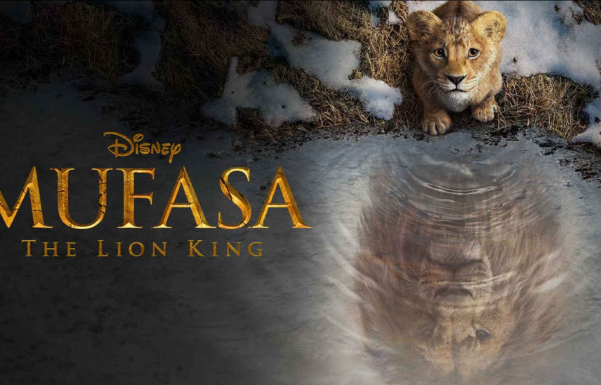When and Where to Catch the Disney Film in India